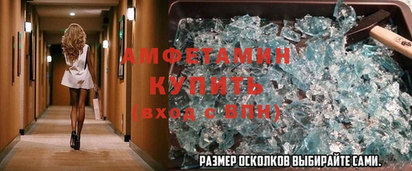 СК Алексин