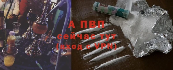 СК Алексин
