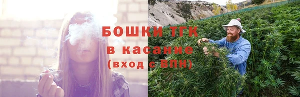 СК Алексин